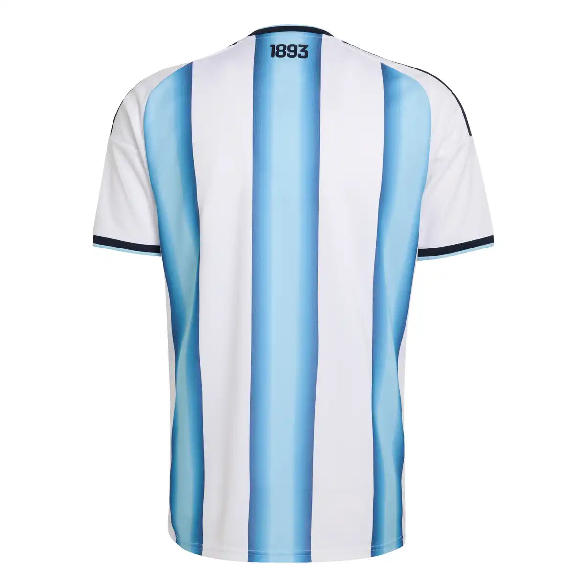 maillot-argentine-domicile-cdm-back