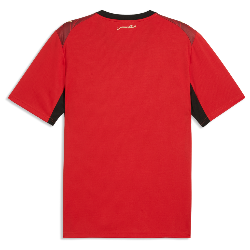 maillot-egypte-domicile-cdm-back