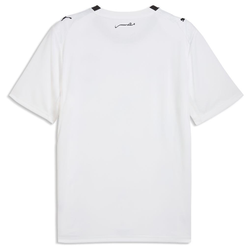 maillot-egypte-exterieur-cdm-back