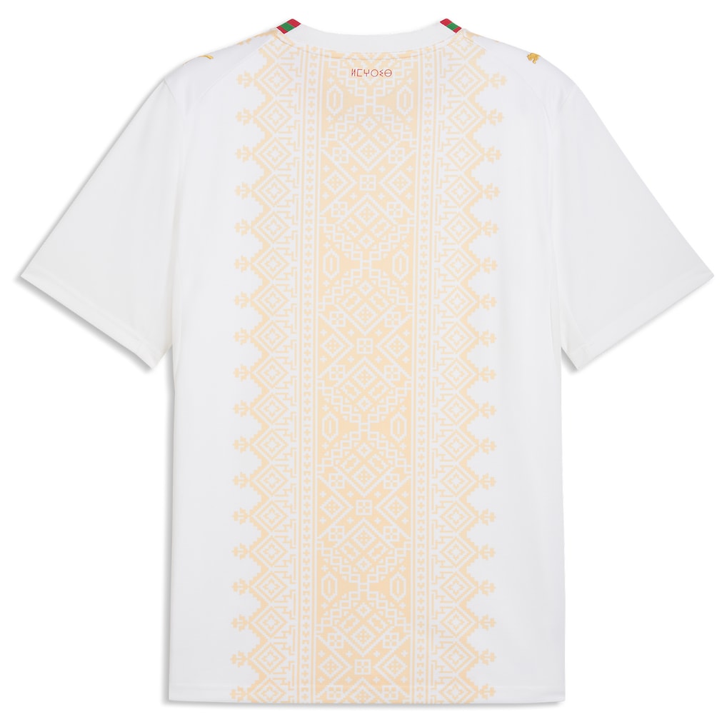 maillot-maroc-exterieur-cdm-back