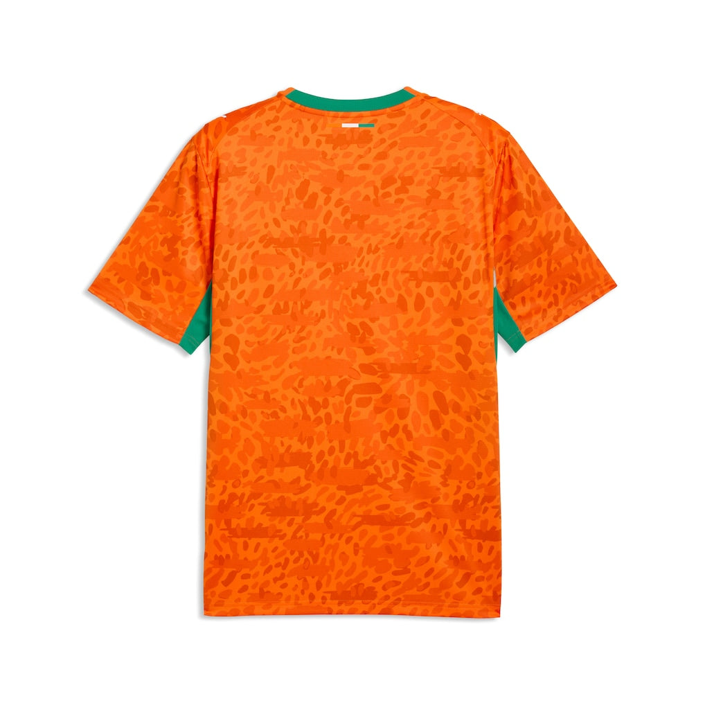 maillot-cote-d-ivoire-domicile-cdm-back