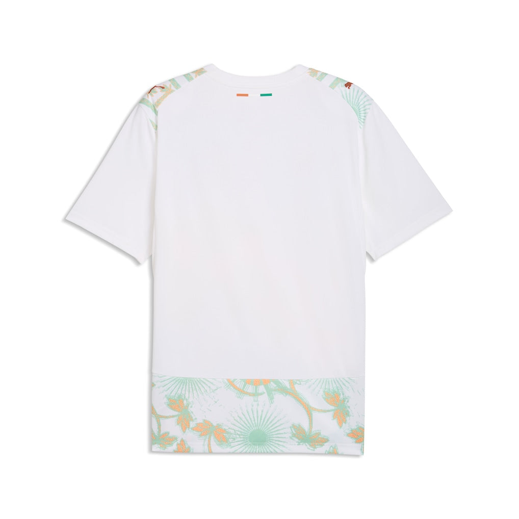 maillot-cote-d-ivoire-exterieur-cdm-back