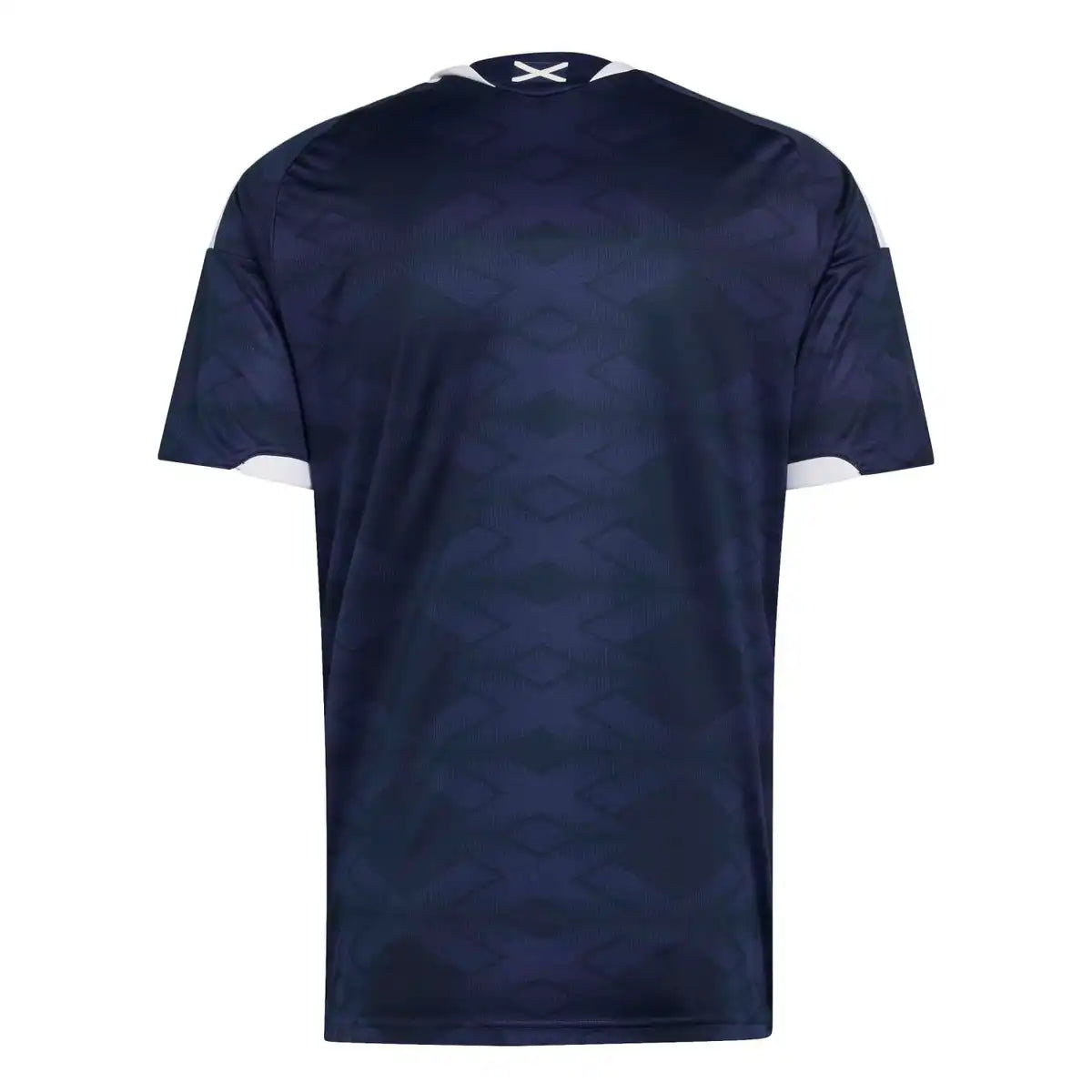 maillot-ecosse-cdm-domicile-back