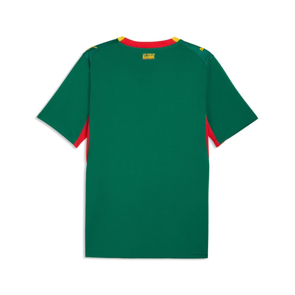 maillot-senegal-exterieur-cdm-back